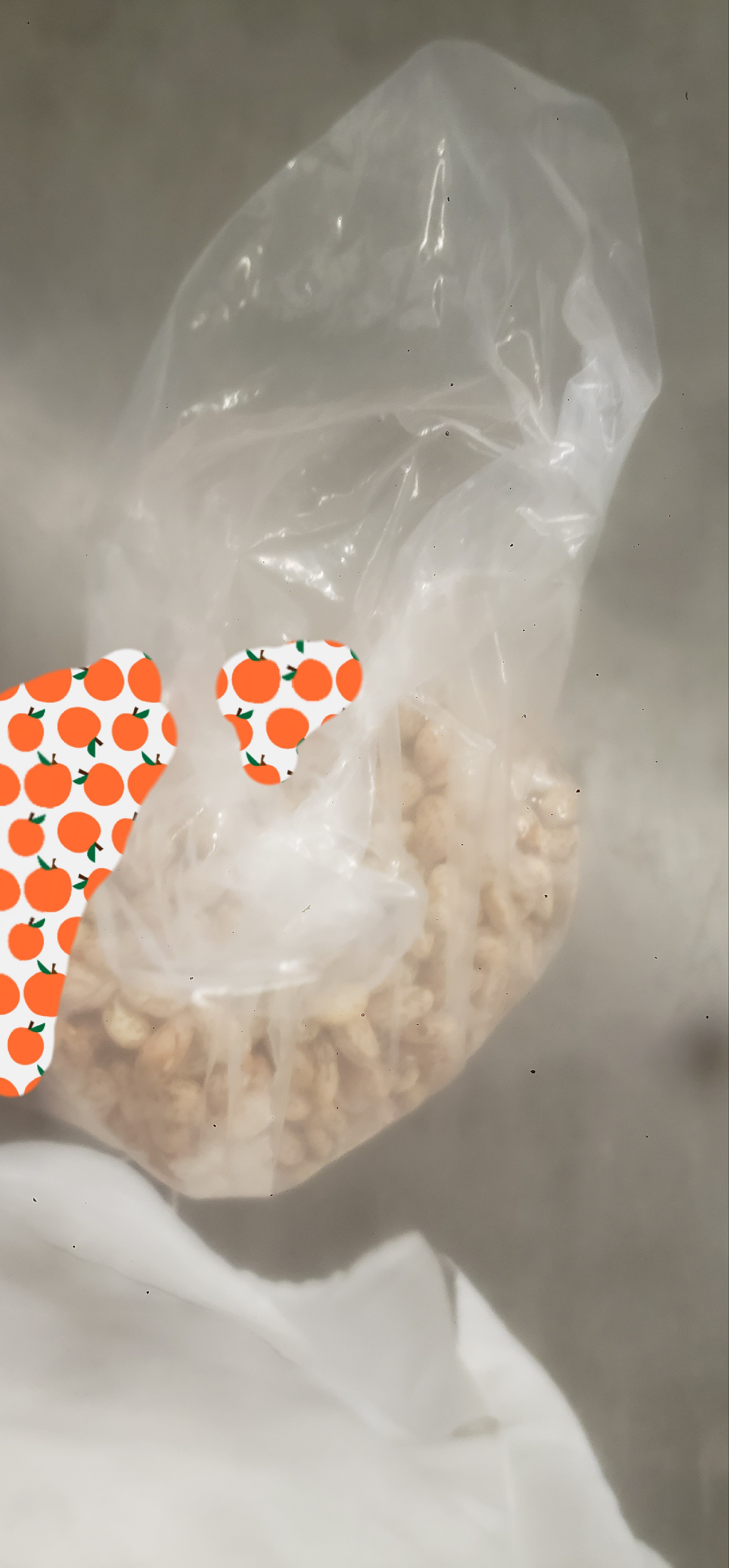 Bag of pinto beans.